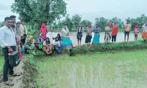 Villagers planting saplings and listening to Mann Baat