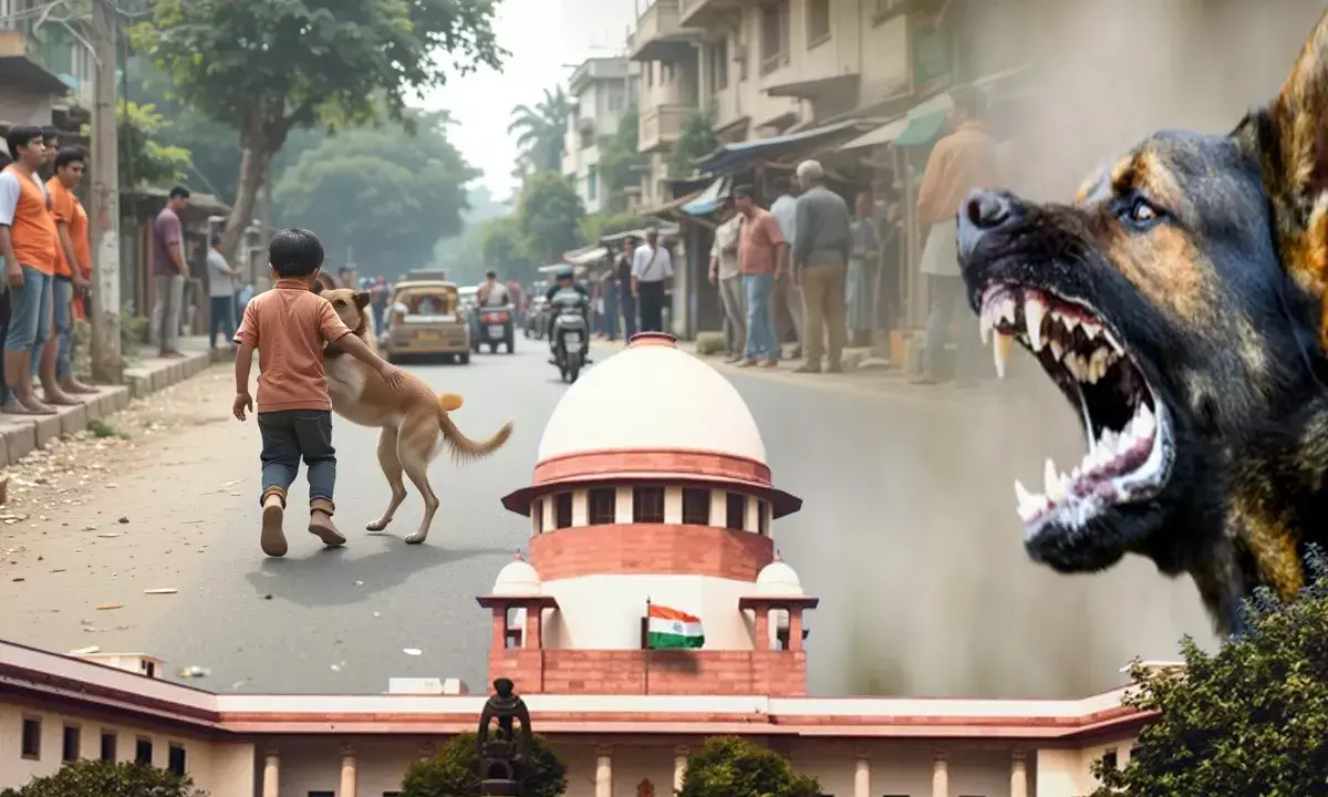 Supreme Court strict on Delhi Street Dog Attack Cases