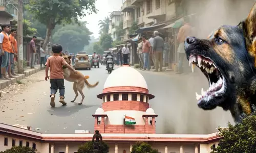 Supreme Court strict on Delhi Street Dog Attack Cases