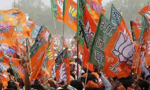 दंतेवाड़ा जिले में बीजेपी ने भाजपा की कार्यकारिणी घोषित कर दी है