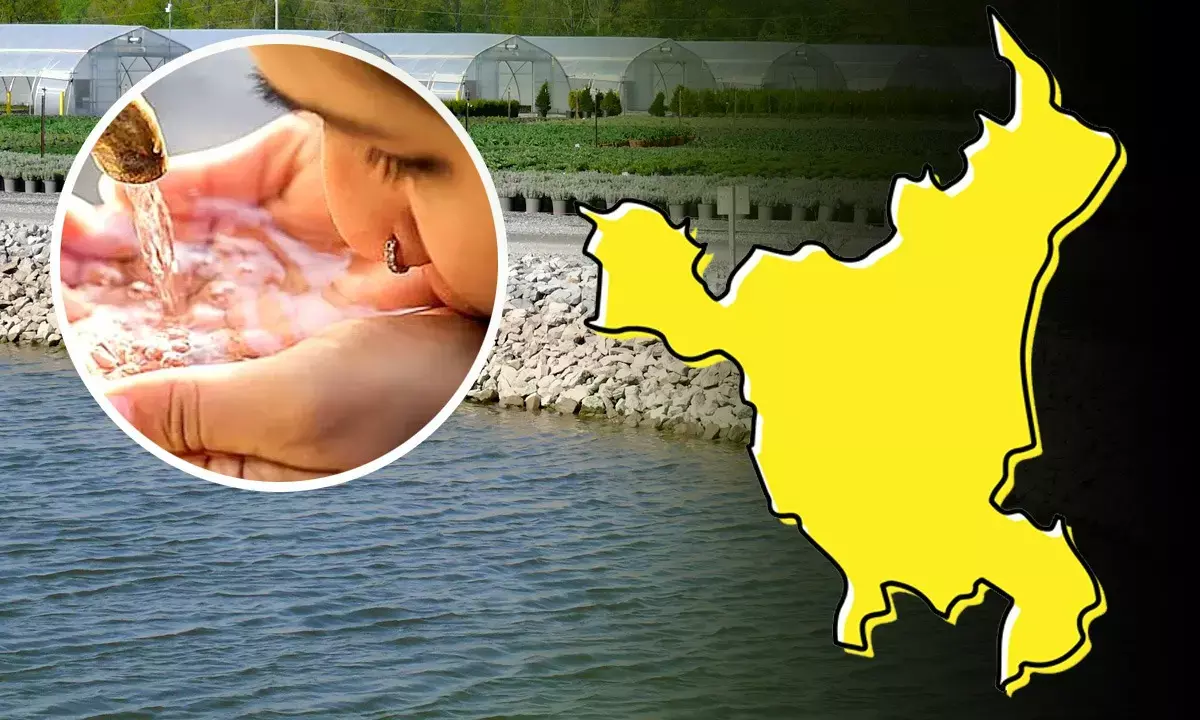 Faridabad Water Supply