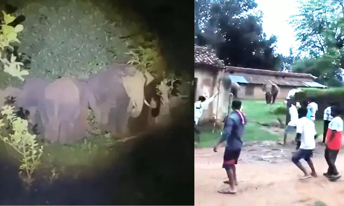 There was chaos in the village