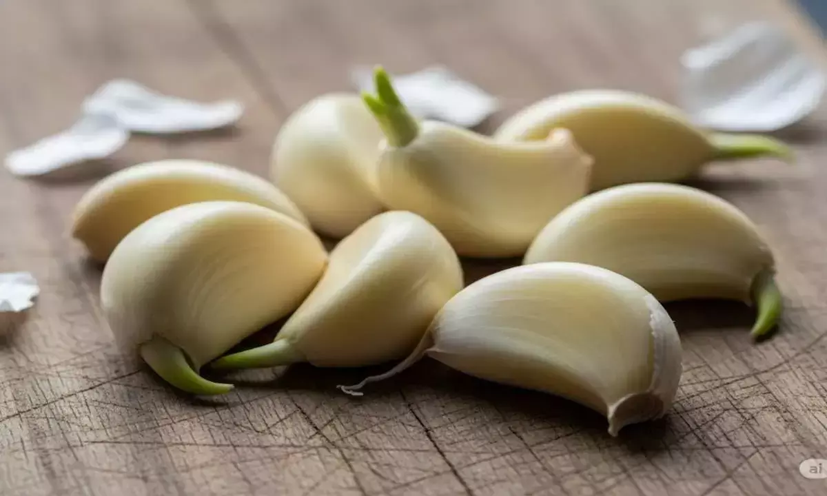 garlic benefits