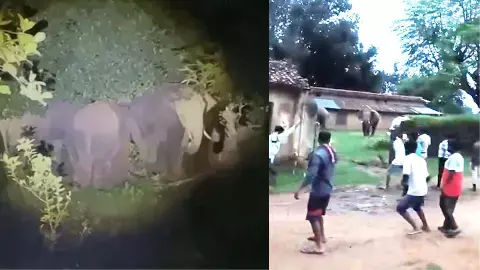 There was chaos in the village