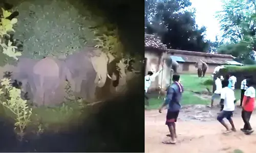 There was chaos in the village