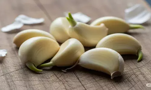 garlic benefits