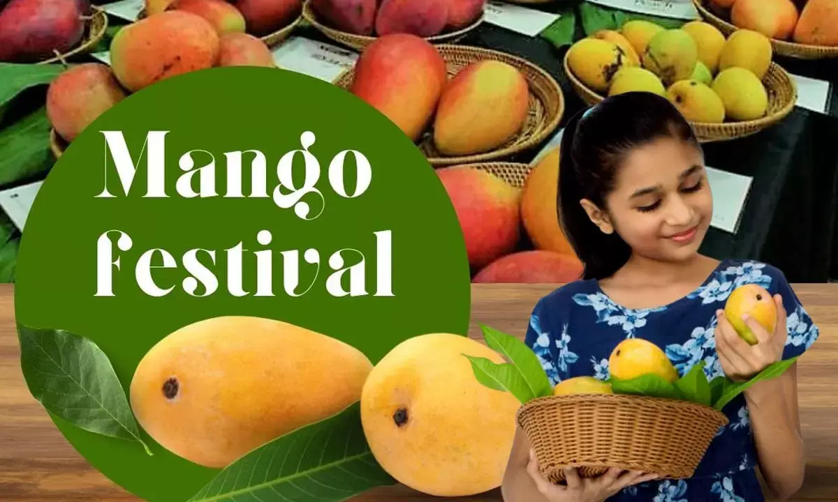 Mango festival 2025 Delhi Mango festival 2025 Delhi
