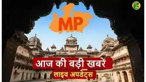 MP News 31 July 2025