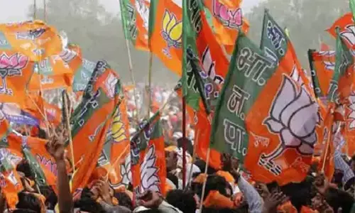 धमतरी जिले में बीजेपी ने भाजपा की कार्यकारिणी घोषित कर दी है