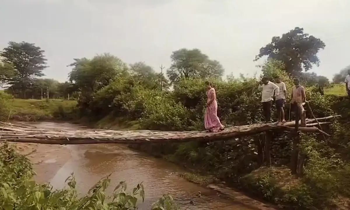 यहां जान पर खेलकर खेत जाते हैं किसान : हिलते-डुलते लकड़ी के ढांचे को रोज पार करते हैं सैकड़ों ग्रामीण