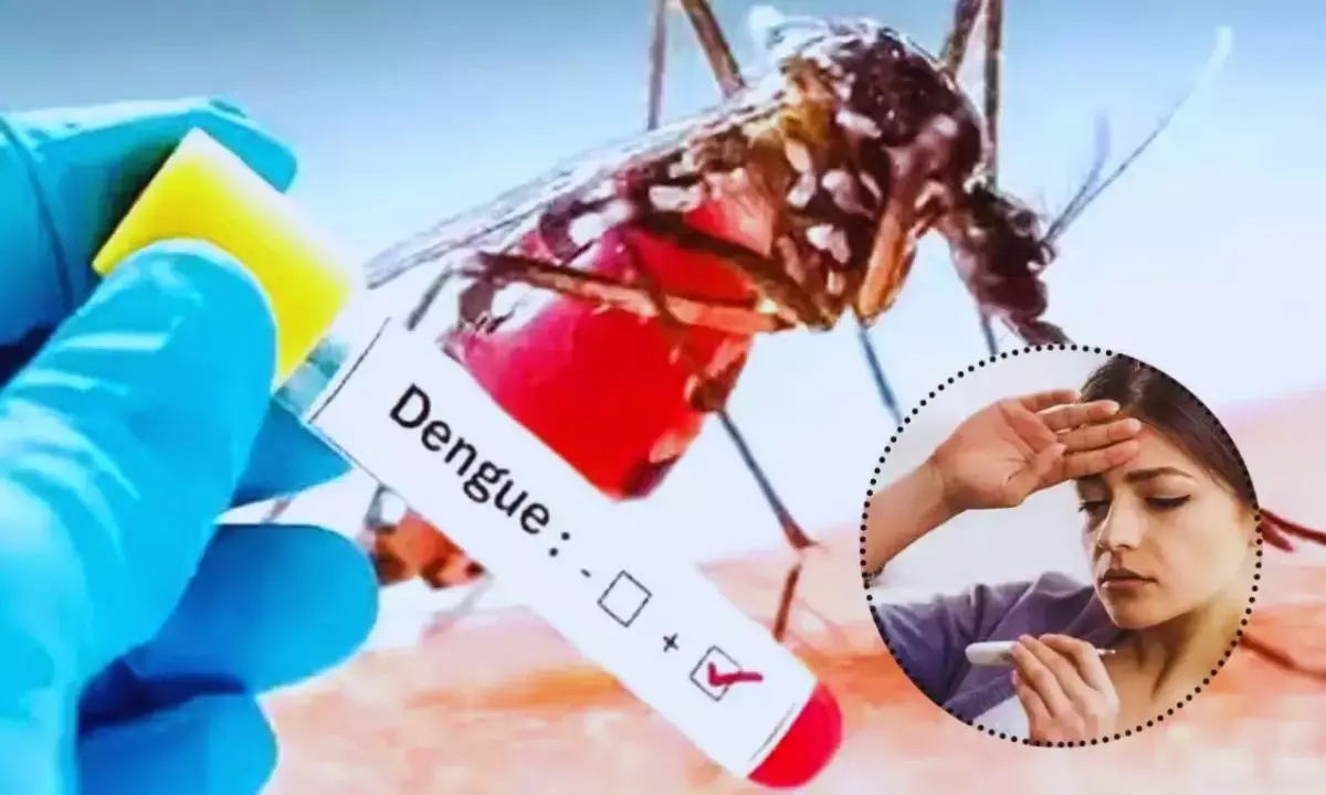 Dengue-Malaria Cases In Delhi