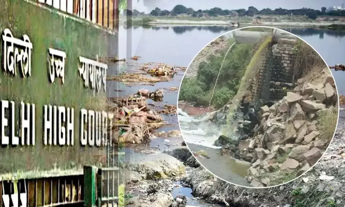 yamuna pollution delhi