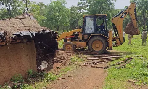 driving a bulldozer