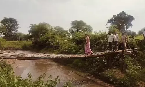 यहां जान पर खेलकर खेत जाते हैं किसान : हिलते-डुलते लकड़ी के ढांचे को रोज पार करते हैं सैकड़ों ग्रामीण