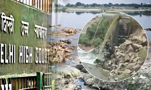 yamuna pollution delhi