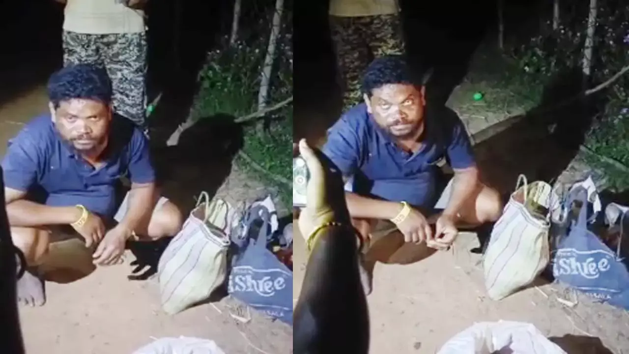 One accused caught with cow meat