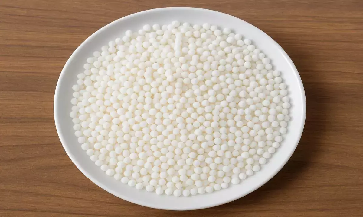 Milavati Sabudana Identification Tips