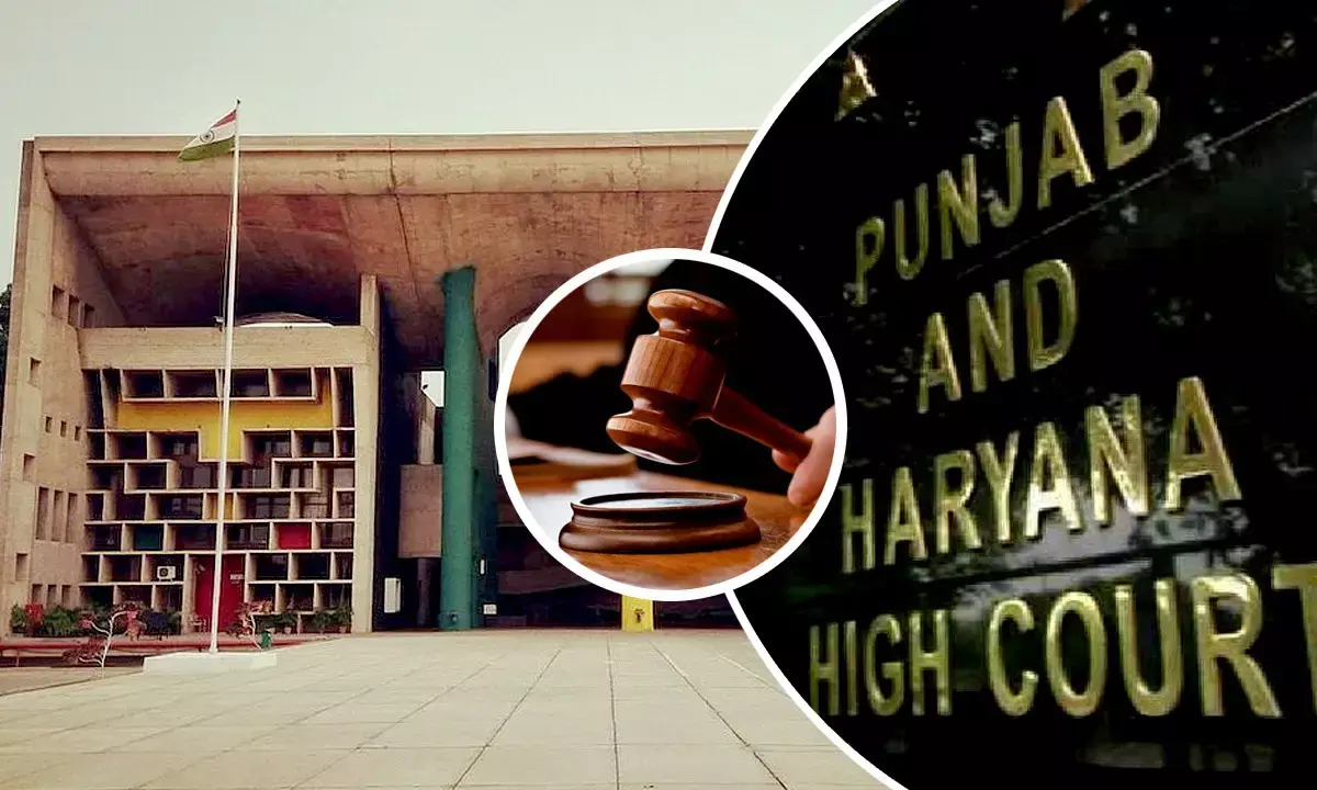 Punjab and Haryana High Court Decision