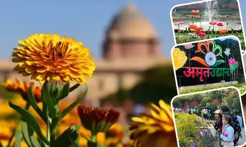 Amrit Udyan Rashtrapati Bhavan