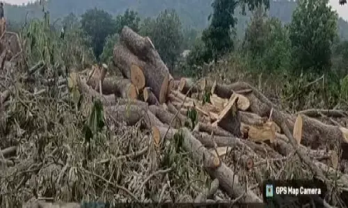 सूरजपुर जिले में किसानों को झांसे में लेकर पेड़ कटाई के काम मे स्थानीय समेत यूपी का गैंग सक्रिय है सूरजपुर जिले में किसानों को झांसे में लेकर पेड़ कटाई के काम मे स्थानीय समेत यूपी का गैंग सक्रिय है