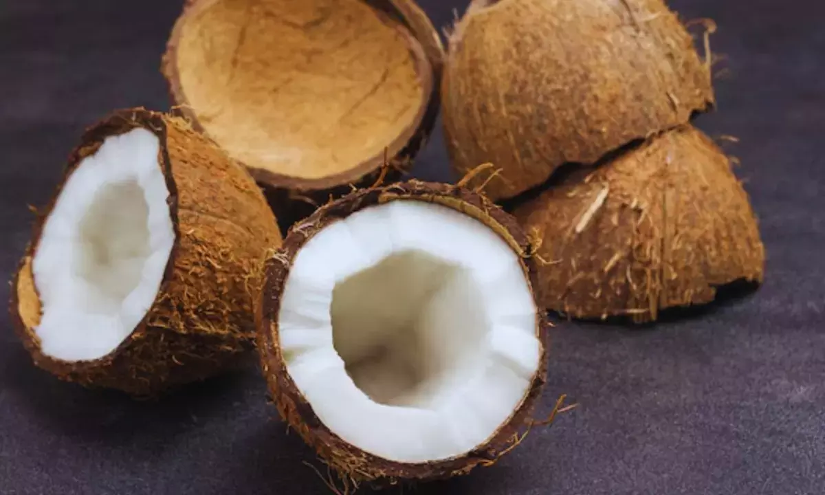 पहली बार नारियल के दाम डबल :  तेल की कीमत भी 50 फीसदी बढ़ी