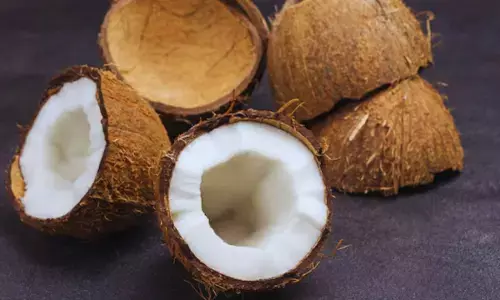 पहली बार नारियल के दाम डबल :  तेल की कीमत भी 50 फीसदी बढ़ी