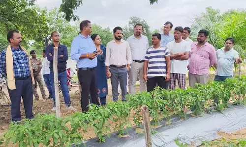 inspecting the fields