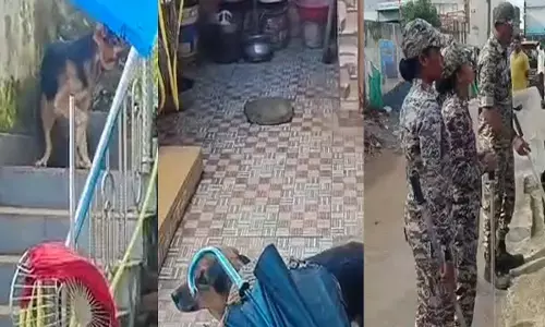 Police investigating the case