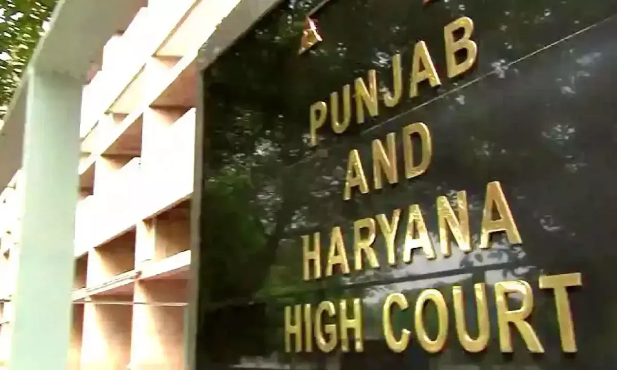 punjab and haryana high court punjab and haryana high court
