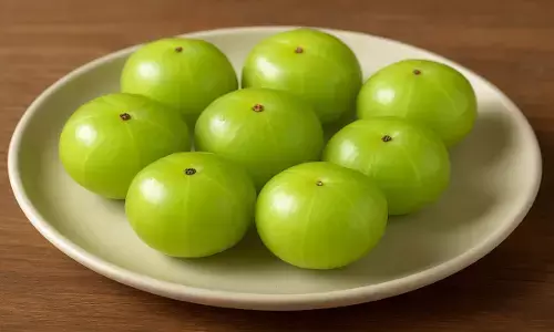 amla health benefits in hindi
