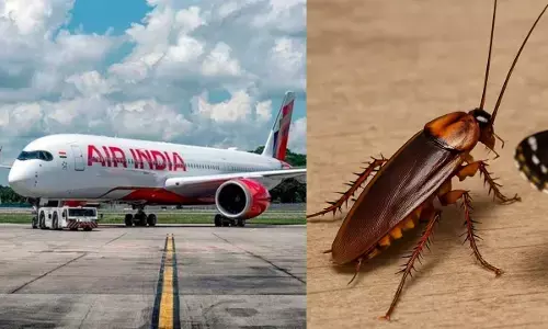 air india flight AI180 cockroach Incident