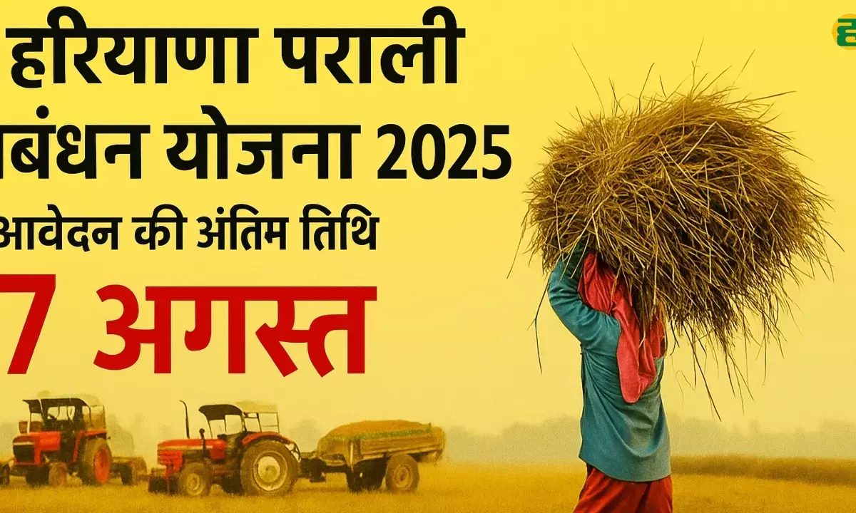 Haryana Parali Management Scheme 2025: Apply by 7 August, avoid penalty and get government grant, know eligibility, benefits and online process.