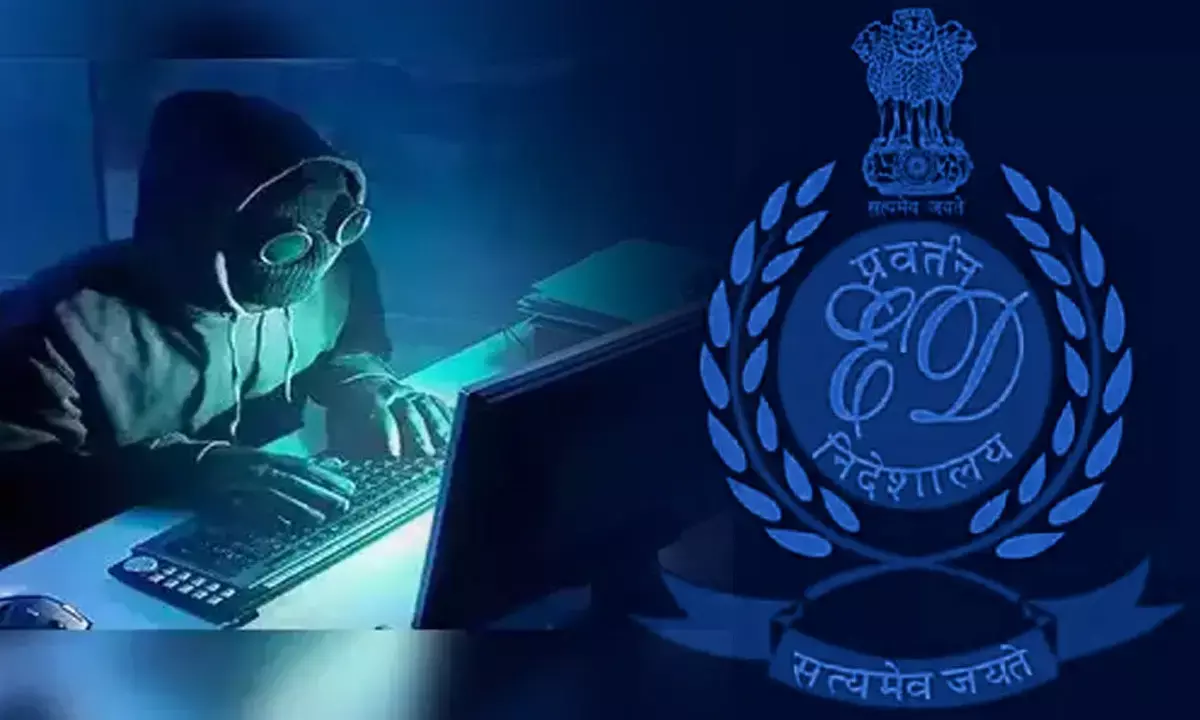 Global Cyber Fraud Case