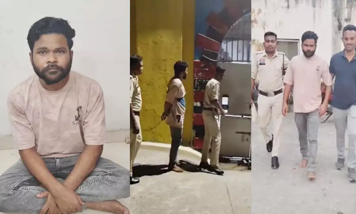 फिर से जेल भेज दिया गया फिर से जेल भेज दिया गया