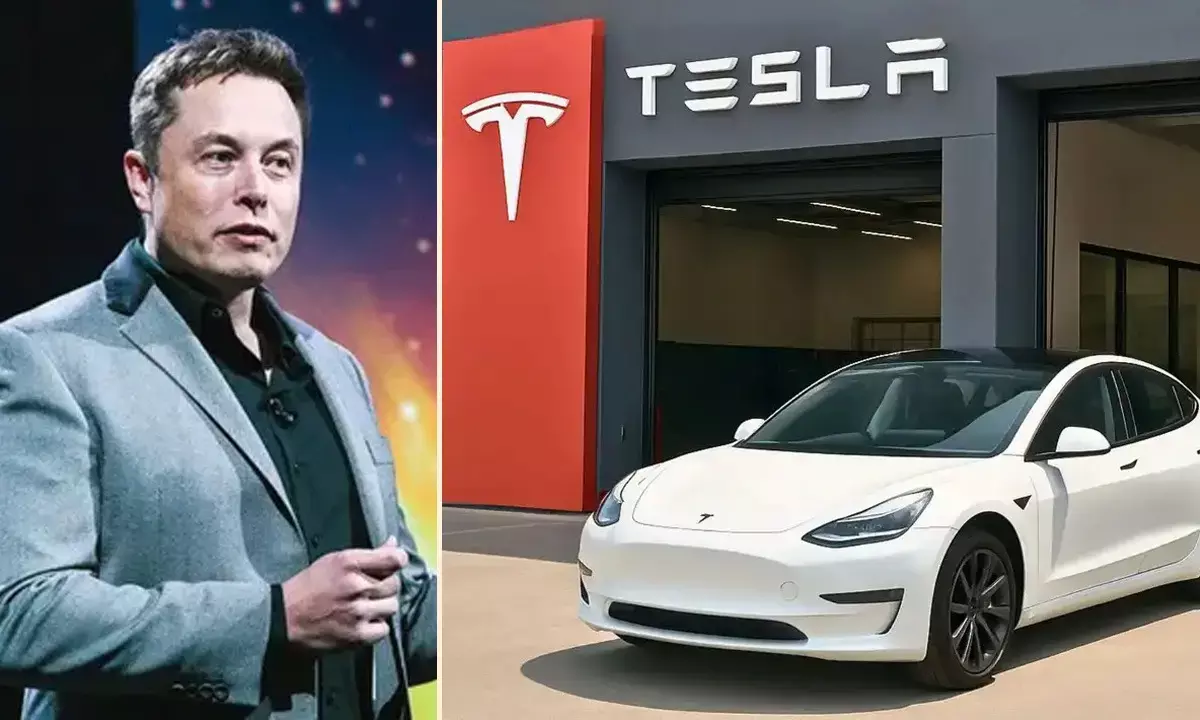 Elon Musk Company