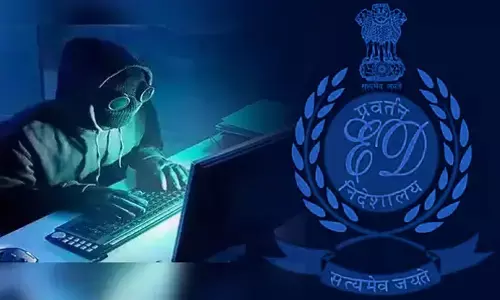 Global Cyber Fraud Case