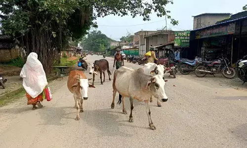 पशुपालकों को SSP शशिमोहन सिंह की सख्त चेतावनी