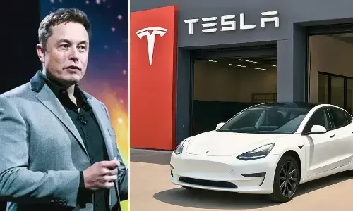Elon Musk Company