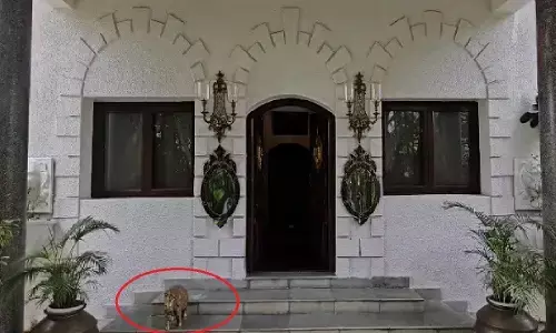 पूर्व डिप्टी सीएम टी.एस. सिंहदेव के आवास से चोरी हुए 15 किलो वजनी पीतल का हाथी धोरी हो गया है