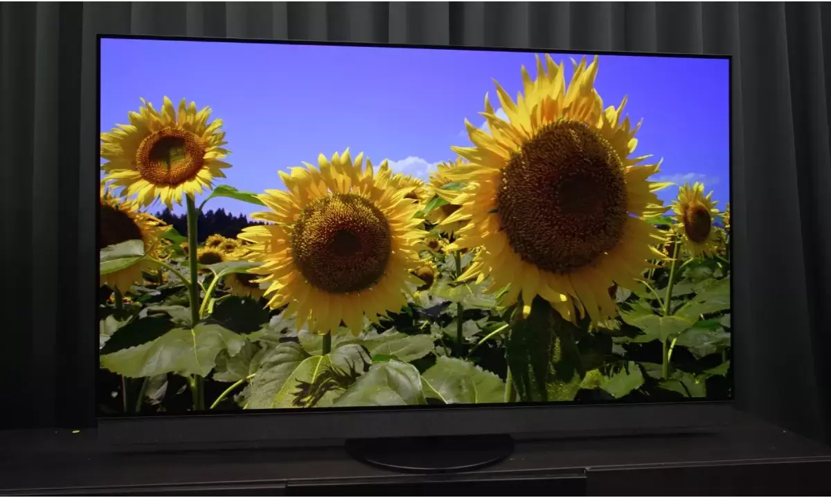 Panasonic ShinobiPro MiniLED Smar TV