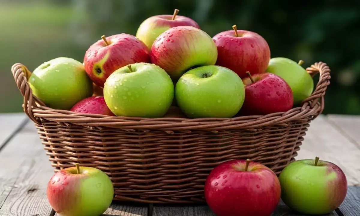 how to identify Chemical ripened apple