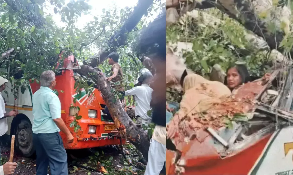 बाराबंकी में रोडवेज बस पर पेड़ गिरा, 4 महिलाओं समेत 5 की मौत
