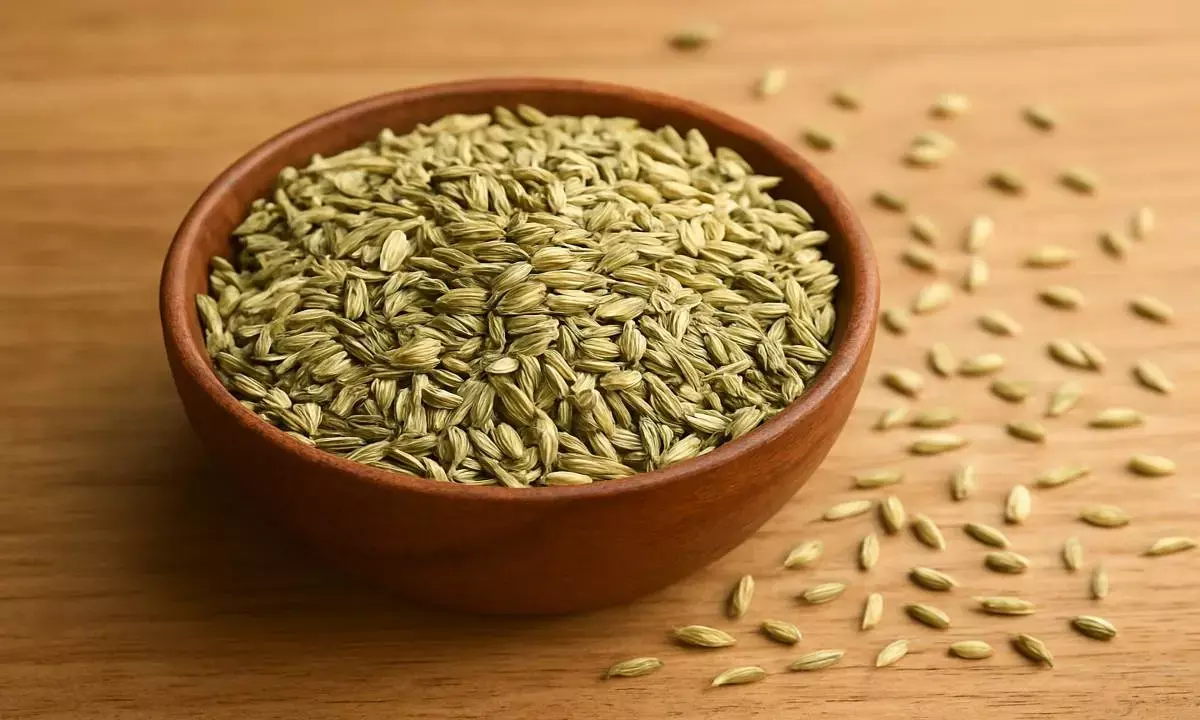 saunf ke fayde fennel seeds benefits