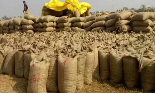 कागजों पर 74 हजार टन धान : उपार्जन केंद्रों से गायब, अब सोसाइटियों से रिकवरी