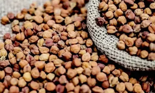 पहली रिपोर्ट में दो लोग पाए गए दोषी