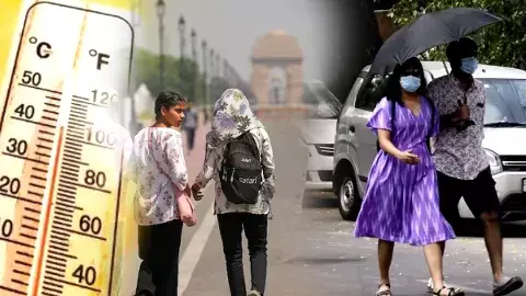 Delhi Weather Delhi Weather