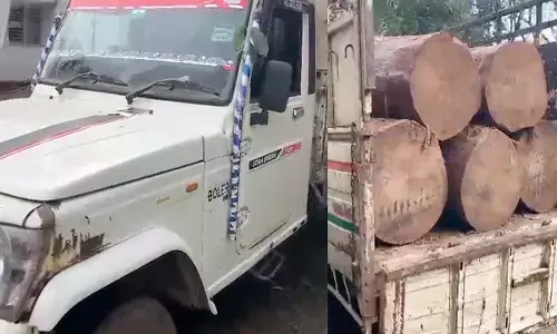 जब्त की गई पिकअप वाहन और लकड़ियां जब्त की गई पिकअप वाहन और लकड़ियां