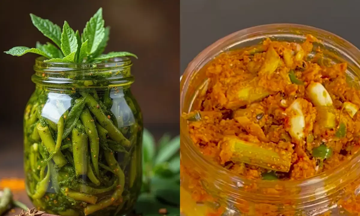 चटपटे और मसालेदार मोरिंगा आचार की रेसिपी