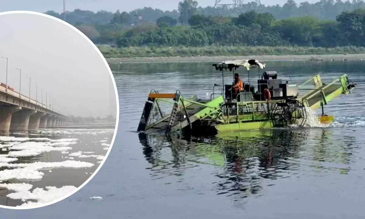 how reduce Yamuna pollution