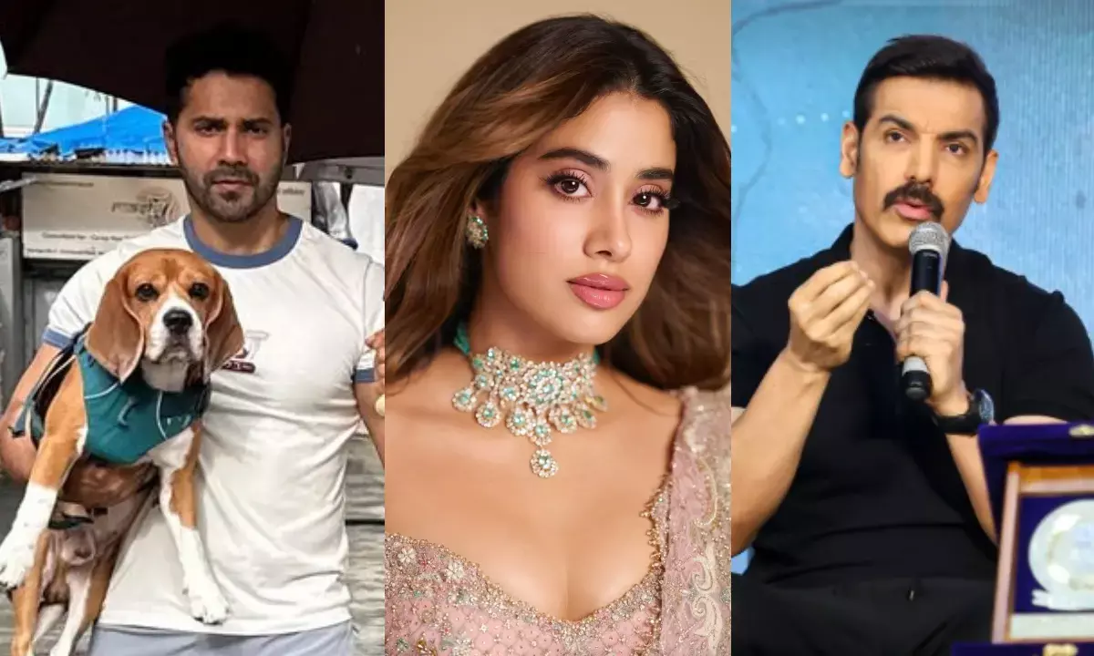 बॉलीवुड सितारों ने आवारा कुत्तों को हटाने वाले सुप्रीम कोर्ट के आदेश का विरोध किया। बॉलीवुड सितारों ने आवारा कुत्तों को हटाने वाले सुप्रीम कोर्ट के आदेश का विरोध किया।